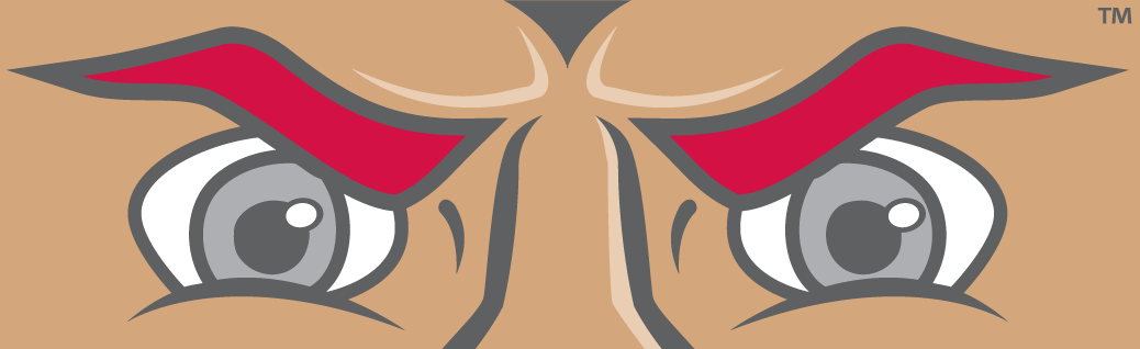 Sacred Heart Pioneers 2004-Pres Mascot Logo v2 diy iron on heat transfer